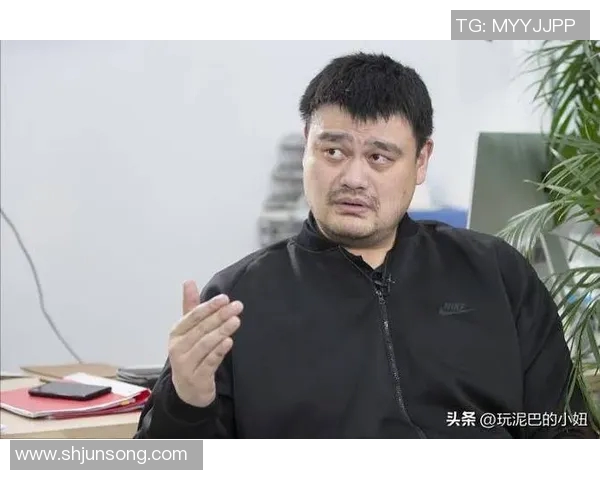 携手共进助姚明冲击总冠军梦想的辉煌之路